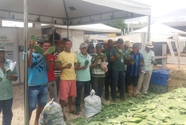 Curso de Manejo da Palma Forrageira - Expoapi