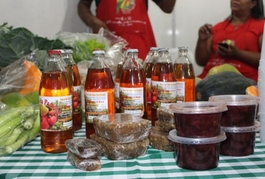 Feira Piauí Produtivo - 67ª Expoapi