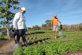 Piauí já assentou quase 20 mil famílias de agricultores familiares