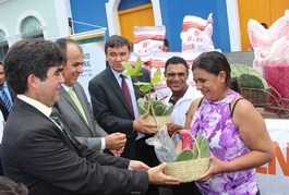 SDR entrega sementes e mudas em Piracuruca 