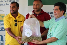 Estado já entregou mais de 1 milhão de alevinos para produção de peixes no Piauí