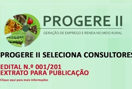 Progere II seleciona consultores