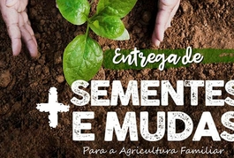SDR inicia entrega de sementes e mudas pelo semiárido do Piauí