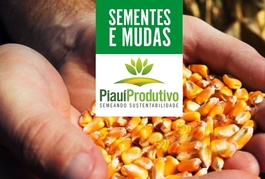 Regionais de Oeiras e Valença recebem sementes e mudas nesta terça-feira (6)