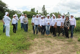 Piauí participa de intercâmbio no Maranhão sobre multiplicação rápida de manivas biofortificadas