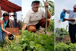 PVSA realiza intercâmbio de quintais produtivos com agricultoras