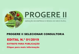 Progere II seleciona consultor (a)