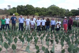 Missão do Fida conhece resultados do Projeto Viva o Semiárido em Valença