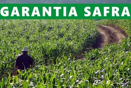 Agricultores de 24 municípios vão receber o Garantia-Safra em outubro