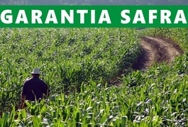 Agricultores de 24 municípios vão receber o Garantia-Safra em outubro
