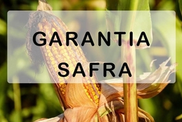 Governo garante R$ 7,2 milhões para o Garantia-Safra de 2018/2019