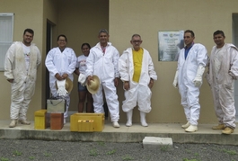Com apoio da SAF, cooperativa realiza a primeira coleta de apitoxina