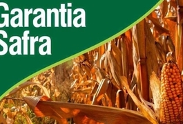 Agricultor pode fazer consulta online do Programa Garantia Safra