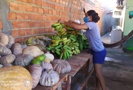 Programa investiu cerca de R$ 1 milhão na aquisição de alimentos