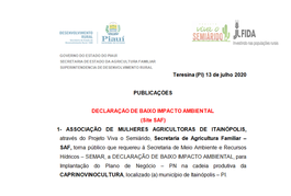 Declaração de Baixo Impacto Ambiental  Para Aplicação de Plano de Negócio