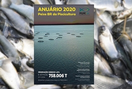 Piauí é destaque no Anuário 2020 da piscicultura brasileira