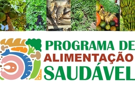 Agricultores de seis territórios já podem acessar o edital do Programa de Alimentação Saudável