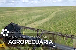 Piauí que Cresce - Aumento do PIB / Agronegócio